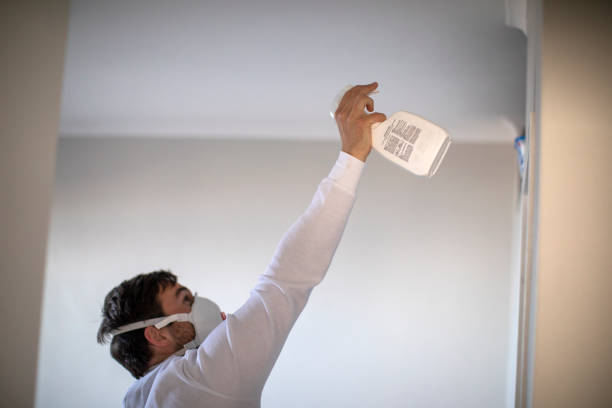 Best Mold Damage Repair  in Converse, IN