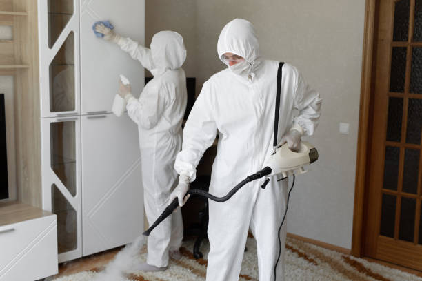 Best Certified Mold Removal  in Converse, IN