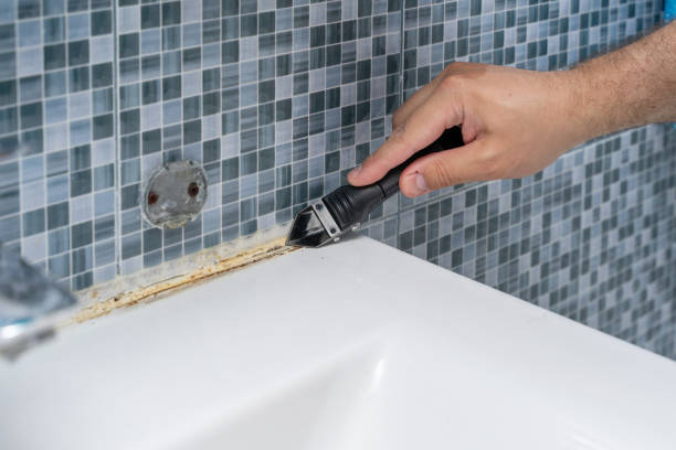 Best Office Mold Removal Services  in Converse, IN